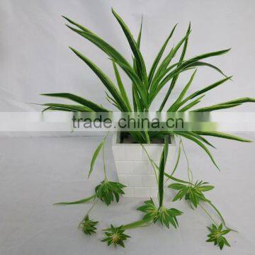 Artificial White Edge Spider Plant Hanging Spider Plant photo-2