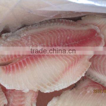 Fresh Frozen Black Tilapia Fillet photo-2