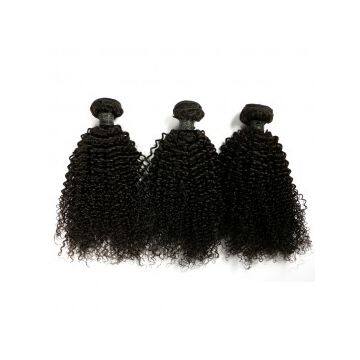 For Black Women 20 Inches Brazilian Curly 14 Inch Human Hair Malaysian Grade 6a