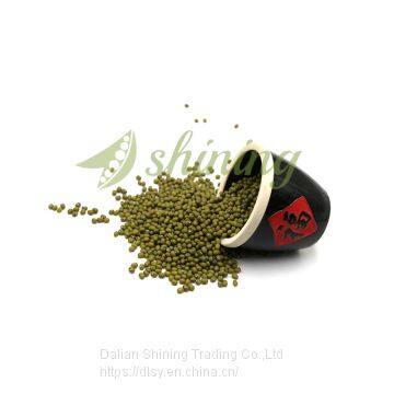 China Origin Competitive Price Green Mung Beans