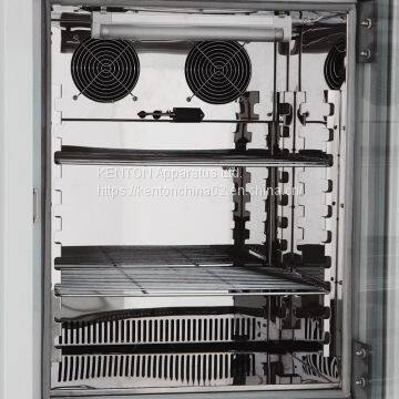 LRH Humidity Incubator,American, Spanish Hot - Selling Products, Can be Customized photo-4