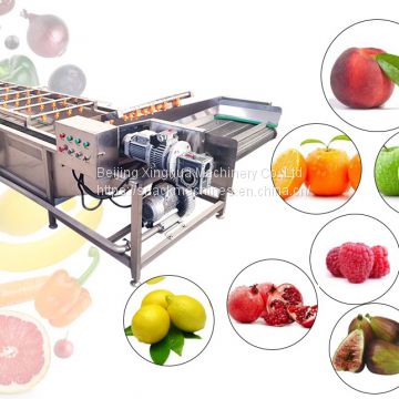 Upgrade Of Cleaning And Preservation Equipment To Ensure The Quality Of Fresh Fruits And Vegetables