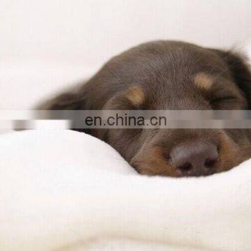 High Quality Luxury Pet Bed Soft Dog Bed Sofa Easy Clean Warming Dog Bed for All Kinds of Dog photo-6