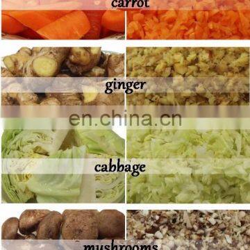 High Quality Cheap Price Automatic Vegetable Shredder / Cabbage Grinding Machine / Vegetable Cutting Machine for Sale photo-5