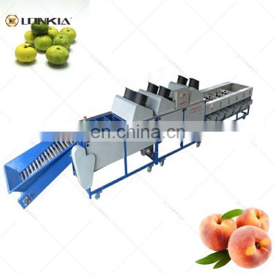 LONKIA  Manufacturers Direct Sale Stainless Steel Grading Machine Potatoes Sorting Machinery Fruit and Vegetable Sorting Machine