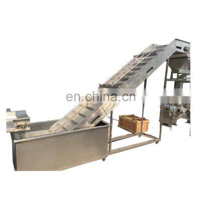 Hot Sale Quick-frozen Green Peas Processing Production Line photo-2