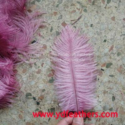 Pink Colour Ostrich Feather From China For Handicrft