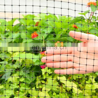 PP extruded anti bird netting for For Vineyard Protection/fruit tree netting