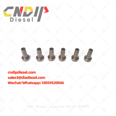 Diesel Common Rail Valve Cap 334