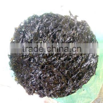 Laver Seaweed
