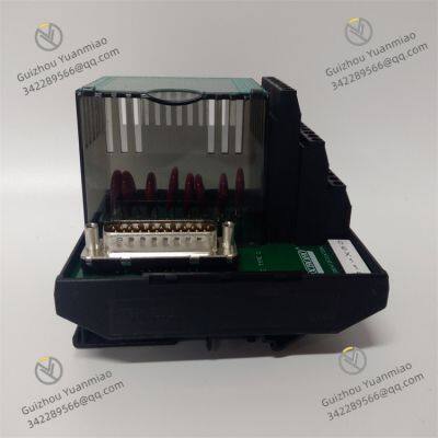 Foxboro P0924JH Compact Power Supply photo-2