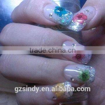 Stickers & Decals Cheap 3D Dry Flower, Mix 12 Color Decorations Real Dried Dry Flower for Nail Art Decorations ZX:GH741 photo-2