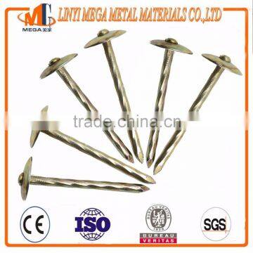 china factory supply top quality galvanized umbrella head roofing nails