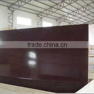 Commercial Plywood,film Faced Plywood