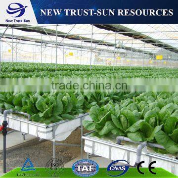 High quality customized glass/plastic film/pc sheet greenhouse with hydroponic system