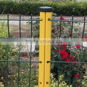 Hot Sale Galvanized /PVC Coated Welded Wire Mesh Fence photo-5