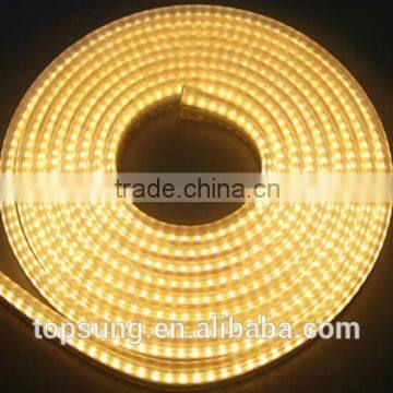 trade assurance crystal waterproof led neon flexible 115V AC