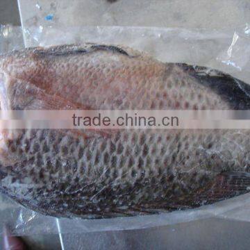 TILAPIA HGT