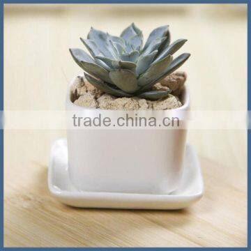 White ceramic cup and saucer succulent flower pot