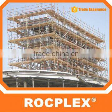 Foshan city china good prices pine lvl timber scaffold boards buyers