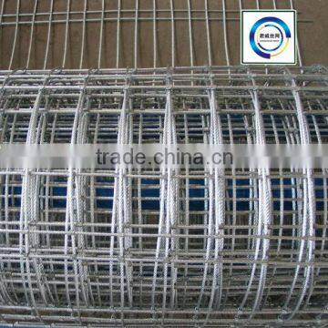 Manufacturer For Galvanized Welded Wire Mesh/ Wire Mesh Factory