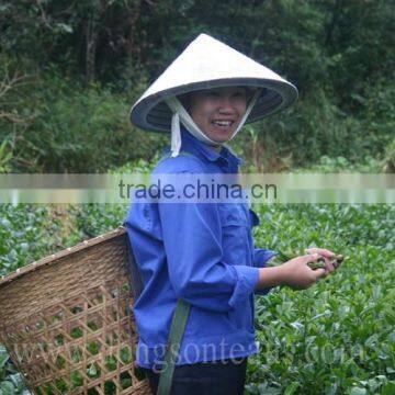 OLD STYLE OOLONG TEA photo-5