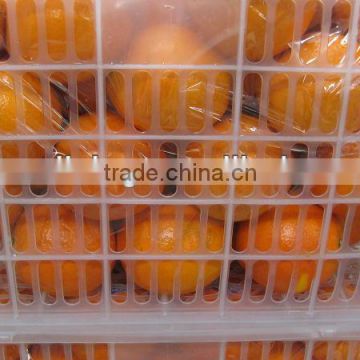 2012 fresh orange navel orange 40-88