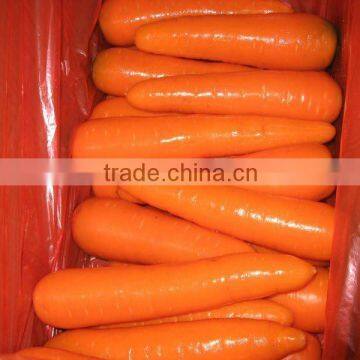 200-250g Carrot