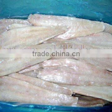 Frozen Saithe Fillet