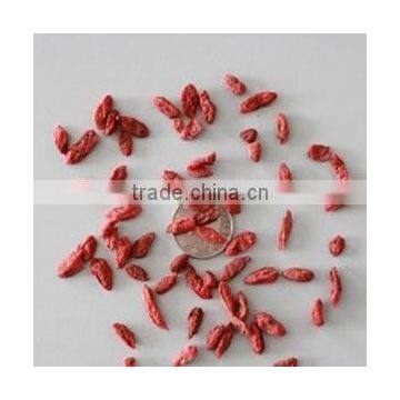 Dried Goji berry seeds/Goji seed/Wolfberry seeds/Ningxia origin