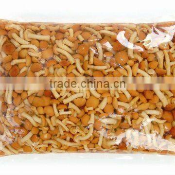 exotic mushrooms with high quality in bag