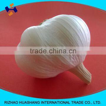 good quality pure white fresh garlic size5.0cm