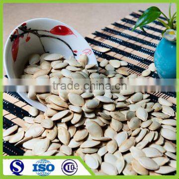 Chinese big size new crop snow white pumpkin seed price