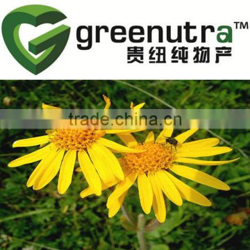 Arnica montana extract/Arnica Extract