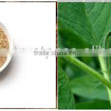 NATURAL SESAME SEEDS