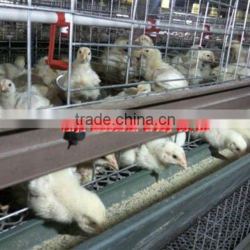 manufacture chicken breeder cages