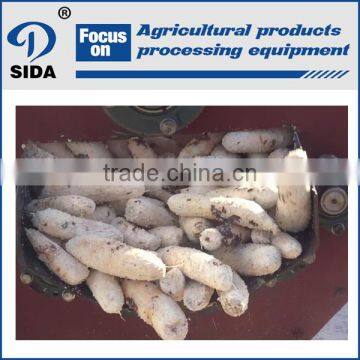 cassava peeling machine / machine to peel cassava