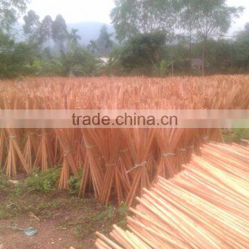 Natural Wood Stick for Planting Cucumber- Korea and Japan Market