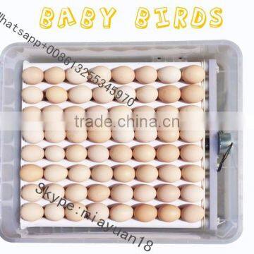 China 64 Chick Egg Hatch Machine Incubetor photo-2