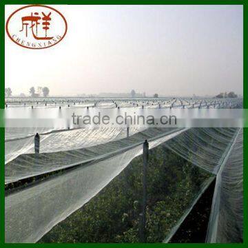 Factory Supply Apple Tree Anti Hail Net With Board and Eyelets