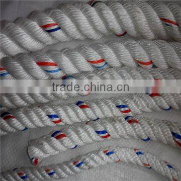 professionally produce plastic/nylon/pp/pe/cotton/sisal rope of good quality and competitive price