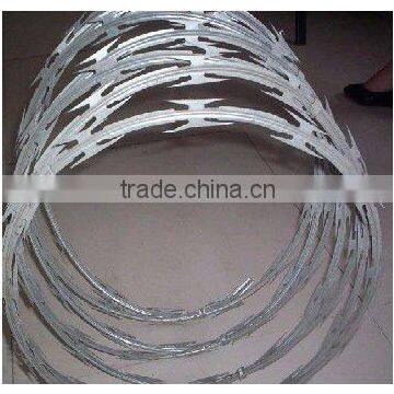 Hot Dipped Galvanized Razor Blade Wire photo-2