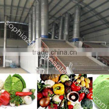 Fruit and vegetable dryer