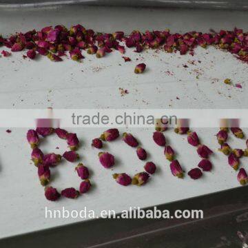 Mesh Machine Type and New Condition Mesh Belt Dryer photo-6