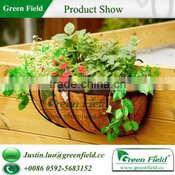Window Box