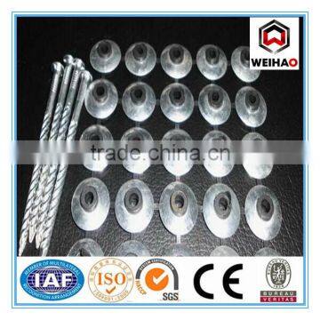 Smooth shank umrella head roofing nail with plastic washer