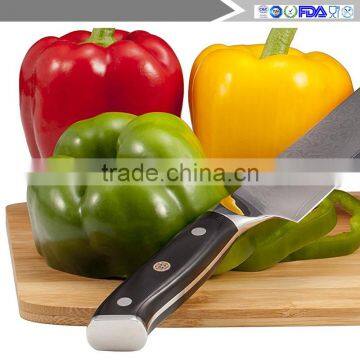 Japanese Damascus 8" Chef's Knife VG10 Razor Sharp 67 Layers High Carbon Steel With Triple Riveted Handle