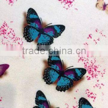 Custom Design Digital Printing Fashion Knitted Scarf photo-5