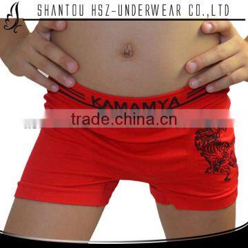 HSZ-scl0006 Good Quality OEM Service Fashion Confortable Mens Panties Seamless Boy Underwear Children In Underwear