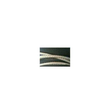 AISI304 1X19 7X7 7X19 Stainless Steel Wire Ropes with PVC or Nylon Coated